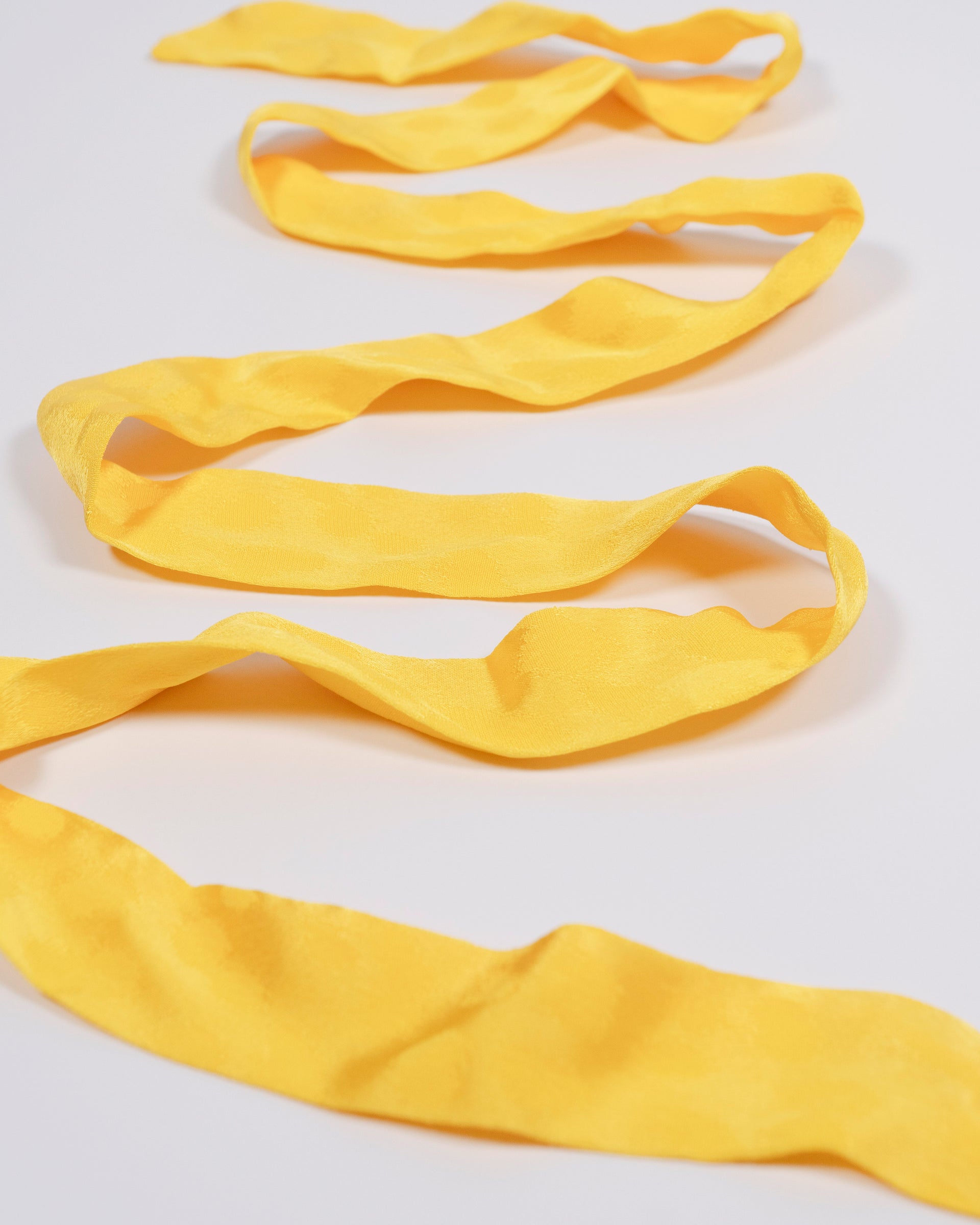 Nastro giallo leo
